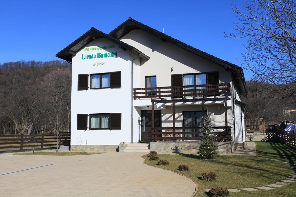 Pensiunea Livada Bunicului Stanesti  Esterno foto
