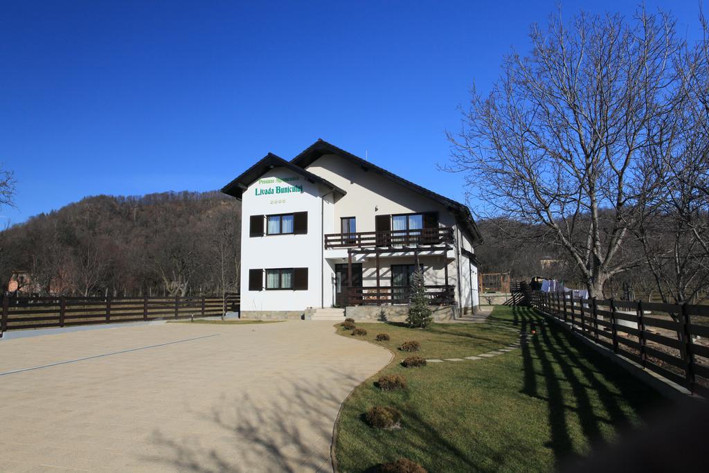 Pensiunea Livada Bunicului Stanesti  Esterno foto